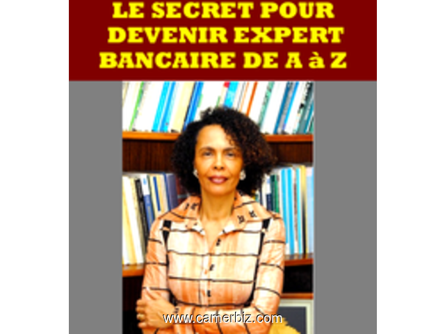 faire carrière dans le domaine de la banque et de la microfinance: formation expert bancaire 12 mois - 13924