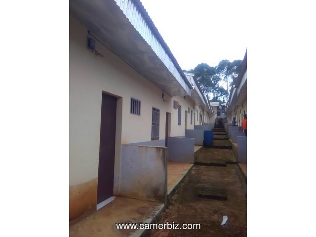 Chambres Modernes A Louer A Banekane Bangangte Universite Des Montagnes Locations Bangangte Cameroun Camerbiz Com