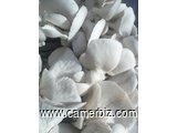 vente champignons frais et sec - 15679