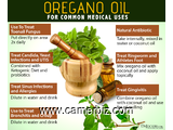 Les Bienfaits de la Vitamine OREGANO OIL./Complement Alimentaire - 15730