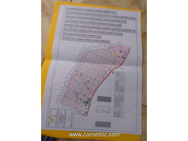 Terrain titré et loti à vendre  - 15786