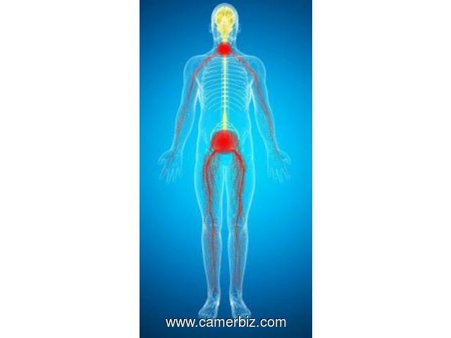 LE FLACON  LIQUIDE  DU SCIATIC  NEUROLOGIC / THE  SCIATICA NEURALGIA  DROPS - 15886