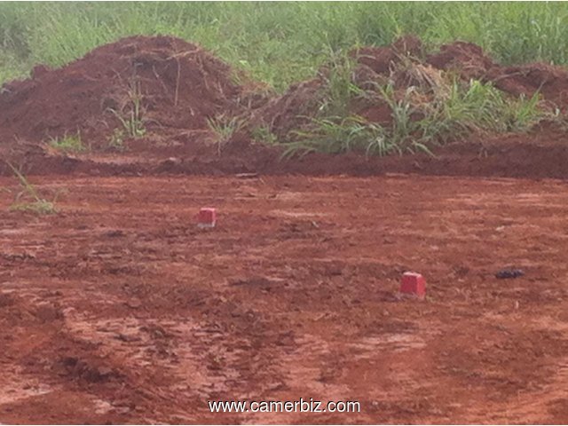 05 HA DE TERRAIN EN FIN D'IMMATRICULATION DANS LA LOCALITE DE LOBO NON LOIN DE YAOUNDE - 1591