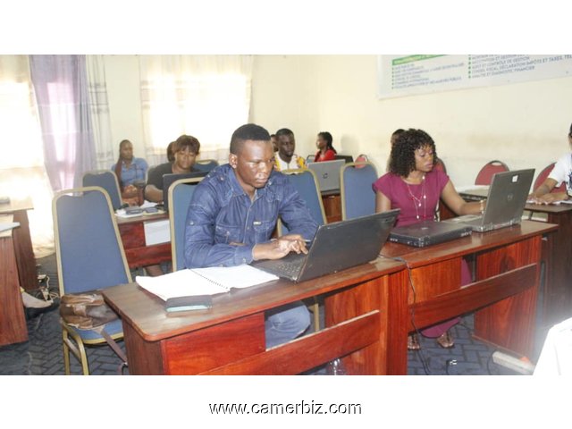 Stage  académique, formation pratique en caisse décentralisée - 15952