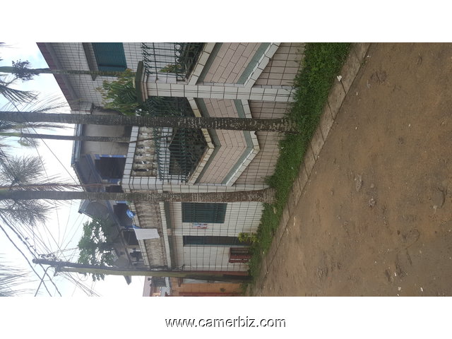 DUPLEX + DÉPENDANCE A VENDRE DOUALA MAKEPE SAINT TROPEZ - 1609