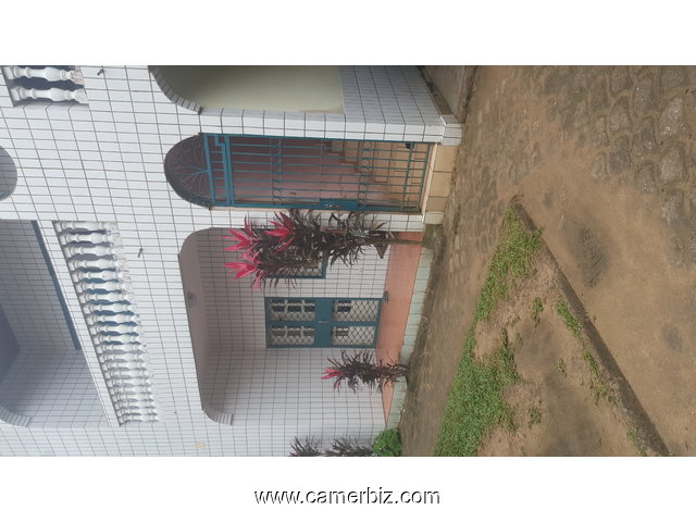 DUPLEX + DÉPENDANCE A VENDRE DOUALA MAKEPE SAINT TROPEZ - 1609