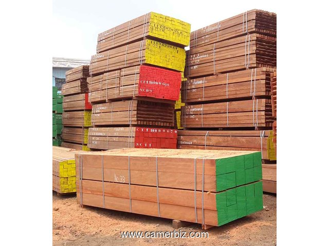 la société SEVI SUARL est spécialisée dans l’exploitation, transformation et l’exportation du bois - 16289