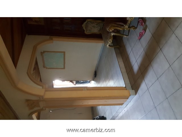 VILLA SIC TRANSFORMER A VENDRE A DOUALA KOTTO LIEU-DIT JOHANNESBURG - 1630