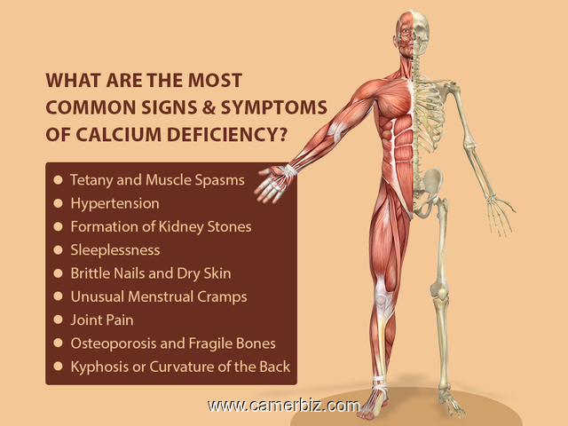 4 VITAMINES en 1 (CALCIUM + MAGNESIUM  + ZINC + VITAMINS D3) DEES USA - 16533