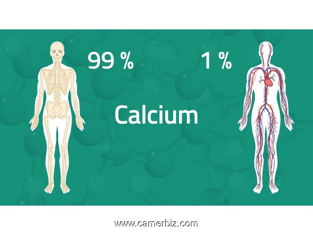 4 VITAMINES en 1 (CALCIUM + MAGNESIUM  + ZINC + VITAMINS D3) DEES USA - 16533