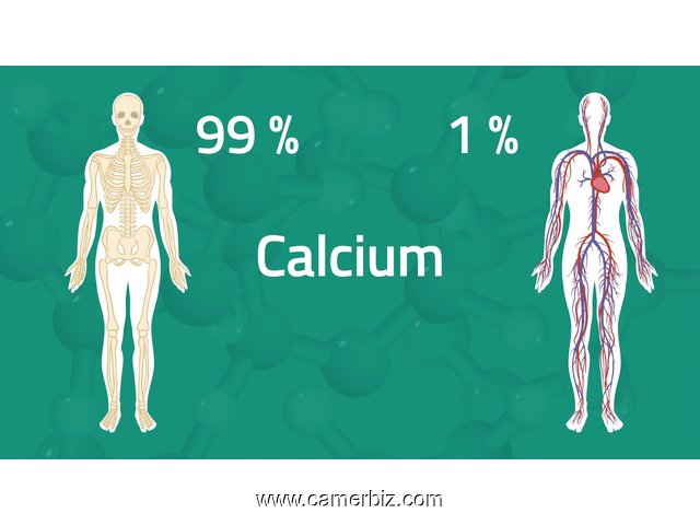 4 VITAMINES en 1 (CALCIUM + MAGNESIUM  + ZINC + VITAMINS D3) DEES USA - 16533