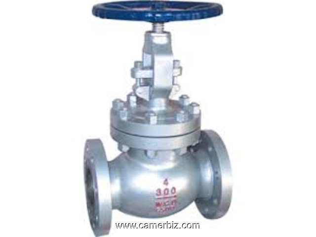 GLOBE VALVES SUPPLIERS IN KOLKATA - 1664