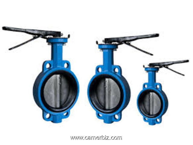 BUTTERFLY VALVES IN KOLKATA - 1671