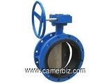 BUTTERFLY VALVES SUPPLIERS IN KOLKATA - 1673