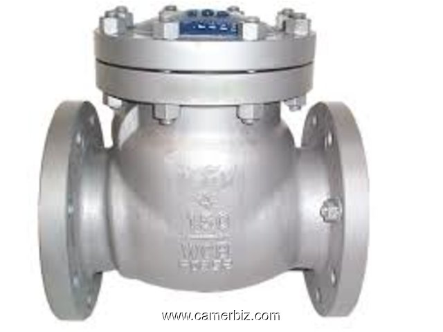 CHECK VALVES IN KOLKATA - 1677