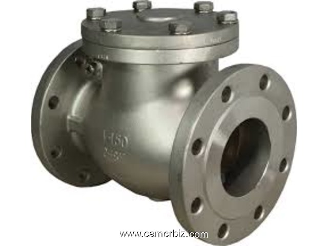 CHECK VALVES DEALERS IN KOLKATA - 1678