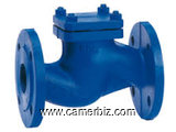 CHECK VALVES SUPPLIERS IN KOLKATA - 1679