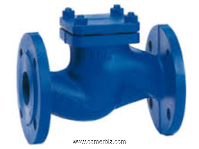 CHECK VALVES SUPPLIERS IN KOLKATA - 1679