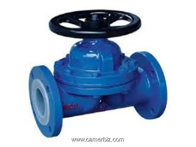 DIAPHRAGM VALVES IN KOLKATA - 1686