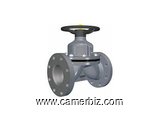 DIAPHRAGM VALVES DEALERS IN KOLKATA - 1687