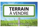 Terrain Non Titre A Vendre A Oyak- Yaounde - 17021