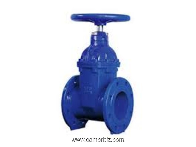 CAST IRON ( CI ) VALVES SUPPLIERS IN KOLKATA - 1706