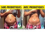 LES  PROBIOTICS = POUR LES MALS GASTRICS  INTESTINAIX  ET  UNE  DIGESTION SAINE - 17151