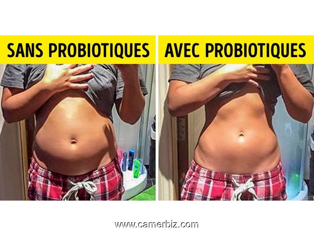 LES  PROBIOTICS = POUR LES MALS GASTRICS  INTESTINAIX  ET  UNE  DIGESTION SAINE - 17151