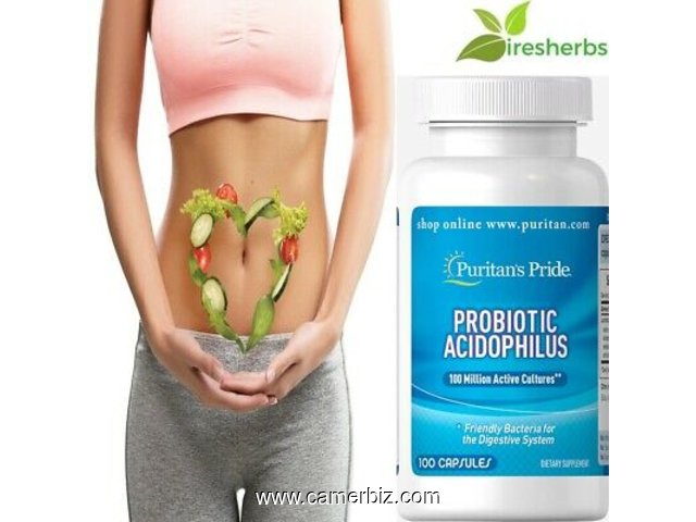 LES  PROBIOTICS = POUR LES MALS GASTRICS  INTESTINAIX  ET  UNE  DIGESTION SAINE - 17151