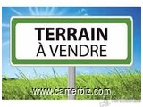 Terrain Titre Et Loti A Vendre A Ntoum - Odza - 17182