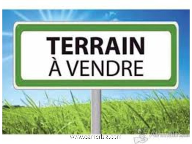 Terrain Titre Et Loti A Vendre A Ntoum - Odza - 17182