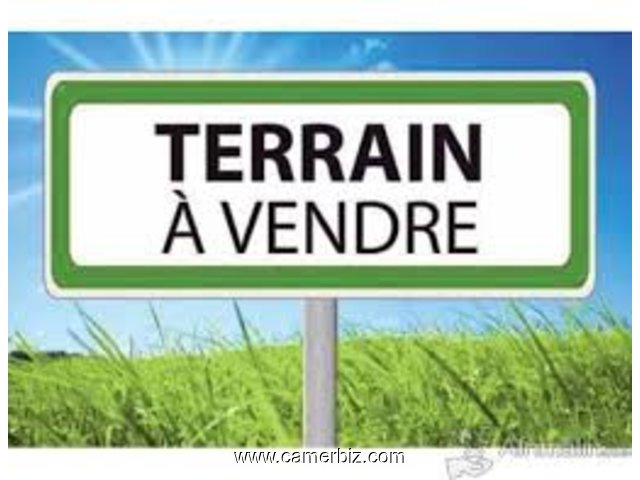 Terrain Titre Et Loti A Vendre A Ntoum - Odza - 17182