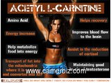 L-CARNITINE = TRANSFORME LA  GRAISSE  EN  ENERGIE &  ENDURENCE - BELLE FORME PHYSIQUE - 17187