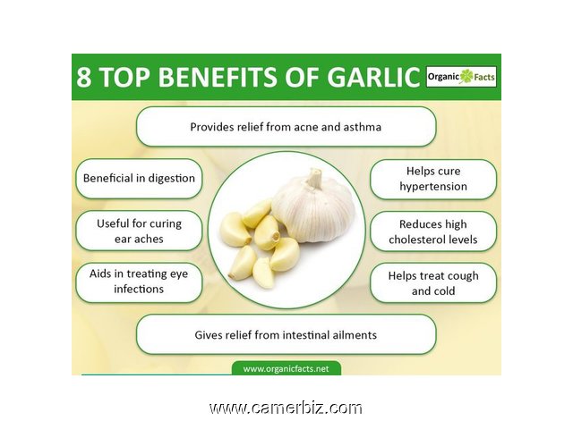 GARLIC / L'AIL=ABSORBE LE SUCRE DANS LE SANG=SECRET COBTRE LE DIABETE - 17217