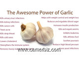 GARLIC / L'AIL=ABSORBE LE SUCRE DANS LE SANG=SECRET COBTRE LE DIABETE - 17217