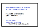 Offre d'emploi en web marketing - 17230