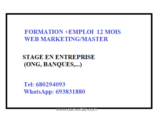 Offre d'emploi en web marketing - 17230