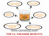 LA   L-THEANINE  =  MEILLEUR ANTI-STRESS NATUREL ET SUPPORT CEREBRAL - 17231