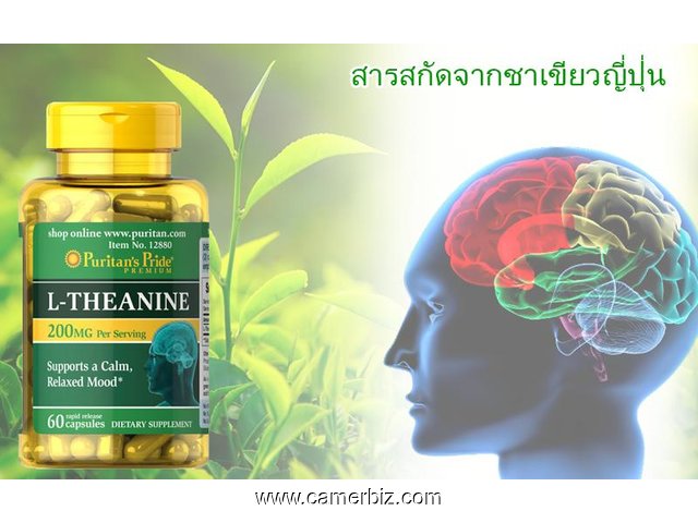 LA   L-THEANINE  =  MEILLEUR ANTI-STRESS NATUREL ET SUPPORT CEREBRAL - 17231