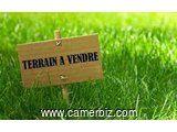 TERRAIN TITRE ET LOTI A USAGE COMMERCIAL A VENDRE MVOG-ADA - 17235