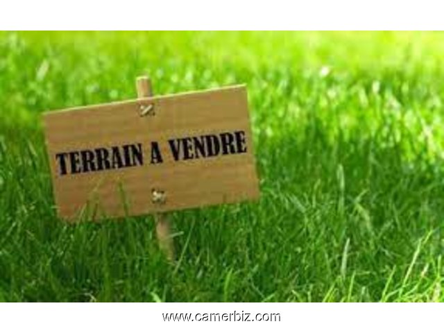 TERRAIN TITRE ET LOTI A USAGE COMMERCIAL A VENDRE MVOG-ADA - 17235