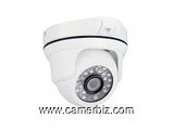 Caméras de surveillance Dôme  - 17236