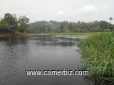 500 hectares de terrains agricole à louer à Mengang /Cameroun - 1731