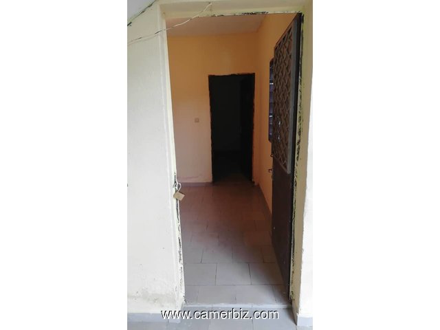 Studio à louer a Douala au Quartier Logbaba en Face hôtel zacheman - 17381