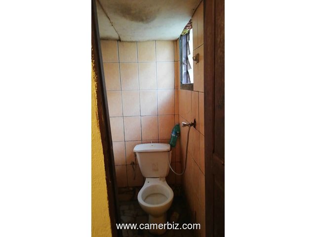 Studio à louer a Douala au Quartier Logbaba en Face hôtel zacheman - 17381