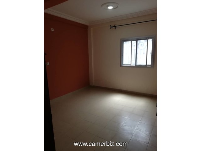 Appartements luxueux à louer a Douala au Quartier Logbessou - 17382