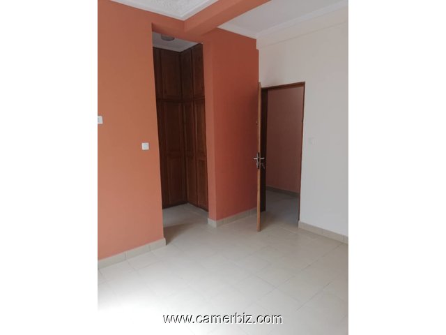 Appartements luxueux à louer a Douala au Quartier Logbessou - 17382