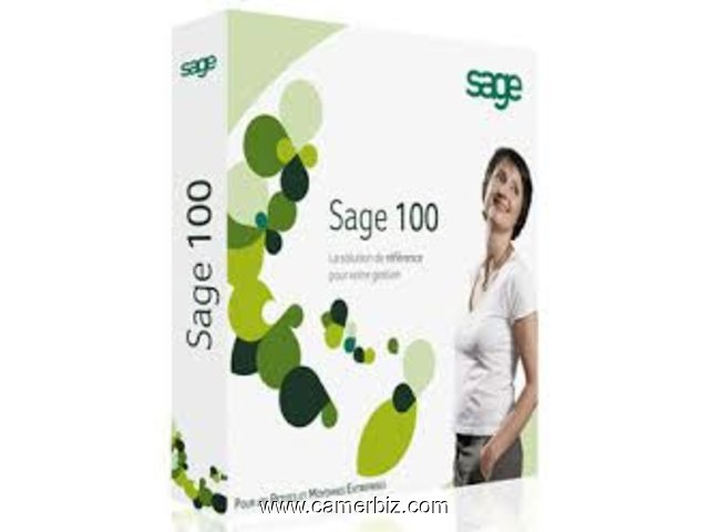 Formation '' SAGE SAARI ligne 100, Montage DSF... ''  - 1746