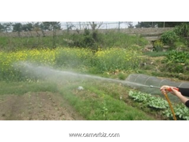 Pulvérisateur à moteur/Atomiseur  - 17501