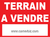 Terrain Titre Et En Cours De Lotissement A Vendre A Mfou - 17510